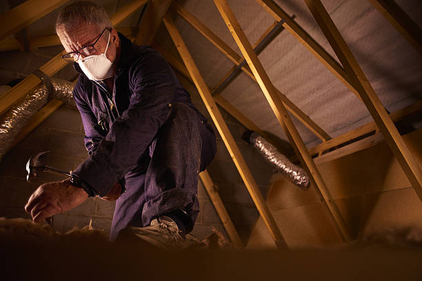 Best Types of Insulation in Loma, CO